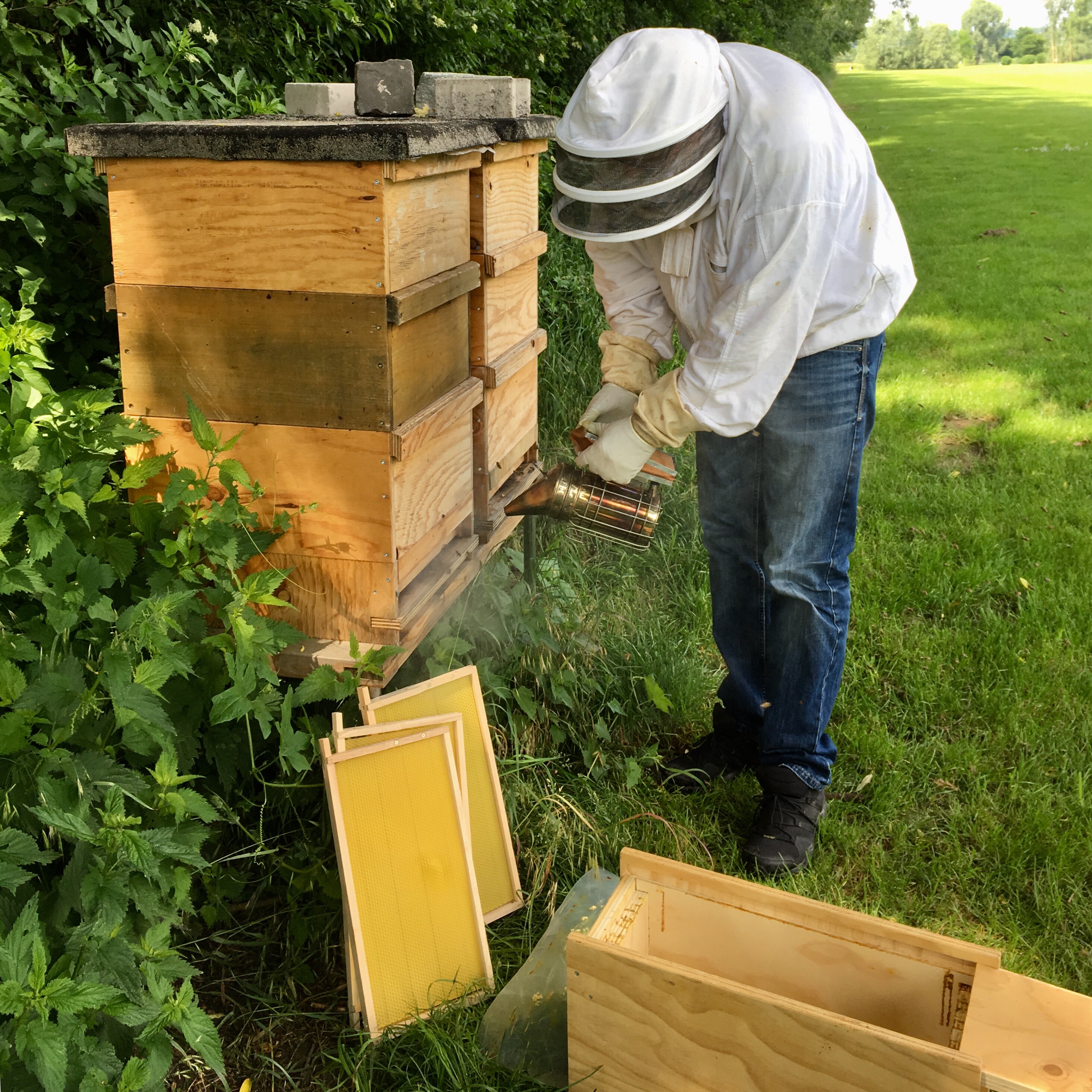 Ständer für Bienenbeuten Beute Bienenhaus Imkerei Gestell Schutz Bienenkästen 